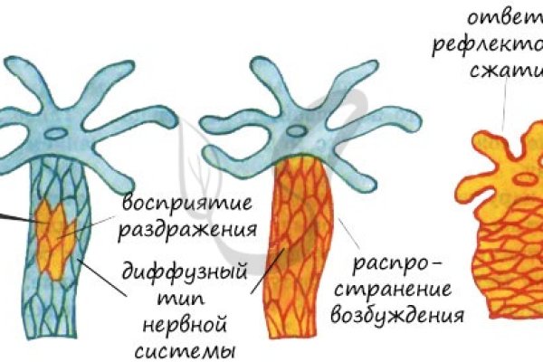 Кракен 15 ссылка